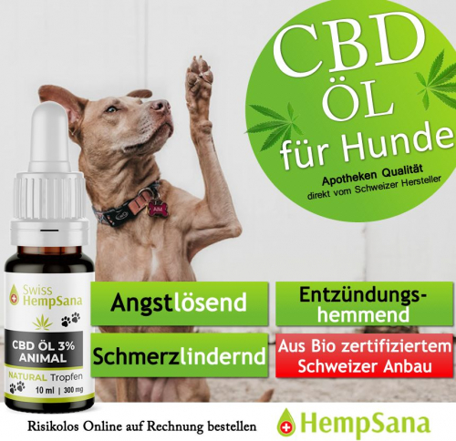 Nur das Beste CBD-Öl für Ihren Liebling !