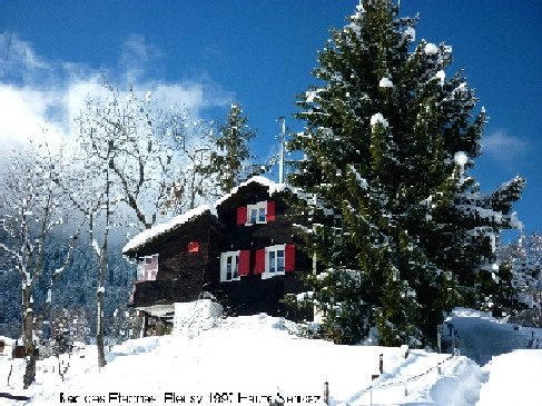  Walliser Alpen, Chalet in Haute-Nendaz