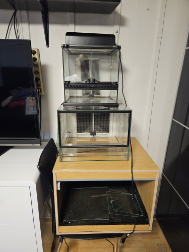 3 Terarium inkl Zubehör