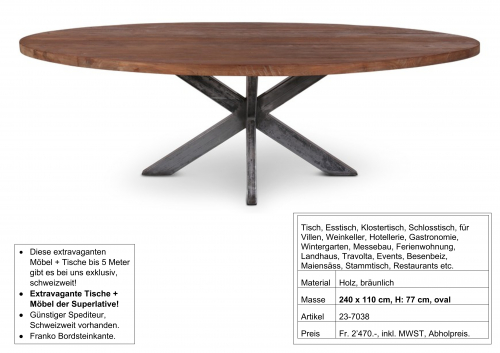 Tisch, Holz, oval Metall Fuss zentral 240 x 110 cm, H: 77 cm