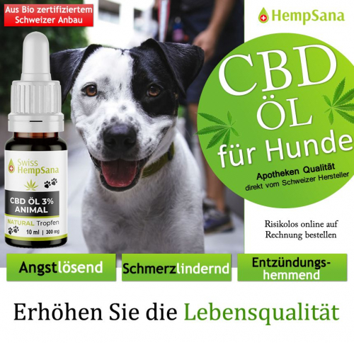 Hempsana CBD Öl für Ihren Hund