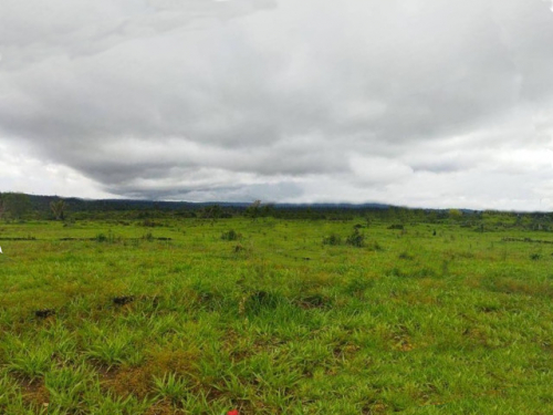 Brasilien 85.9 HA Rinderfarm Grundstück in der Nähe von Careiro A