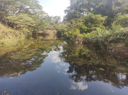 Brasilien 1'000 Ha Tiefpreis - Grundstück mit Rohstoffen in der N