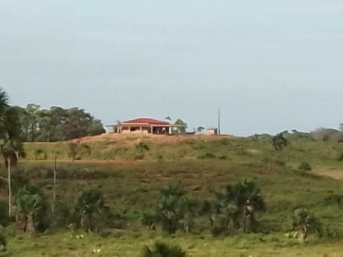 Brasilien riesengrosse 420 Ha Rinderzucht Region - Baruana Roraim