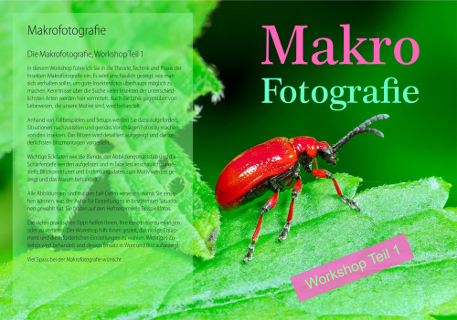 Workshop Makrofotografie mit 2 Fachbüchern