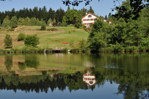 Appartement auf Bauernhof mit Badesee inmitten der Natur