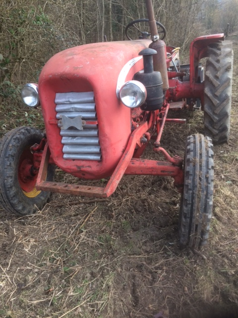 Traktor Bucher D 4000, 38 PS, Jg. 1960