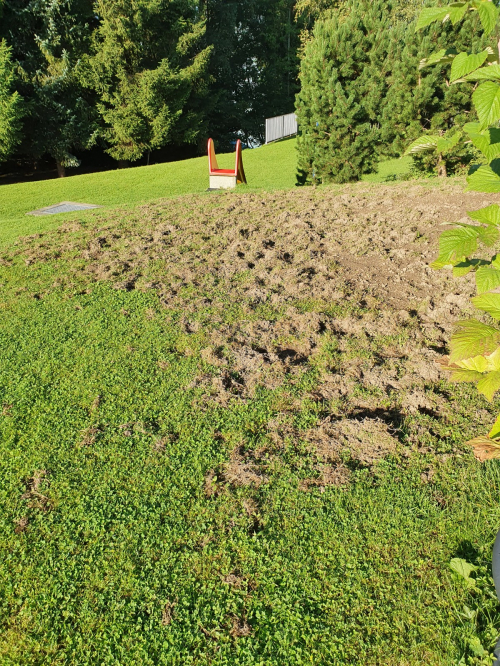 Bekämpfung von Wiesenschnake und andere Gartenschädlinge.