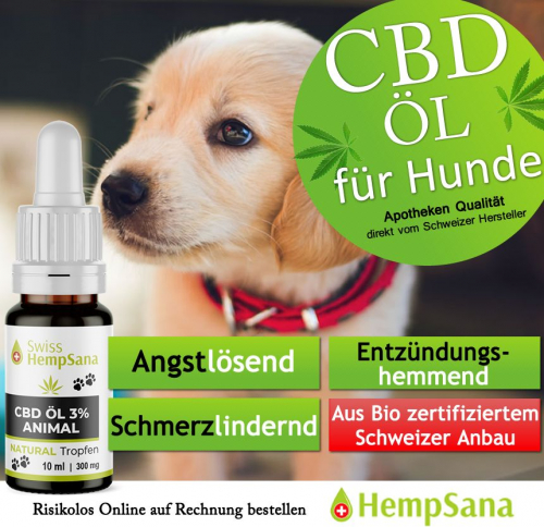 Nur das Beste CBD für Ihren Liebling !