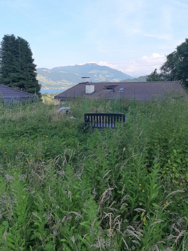 Grosser Garten in Meierskappel 