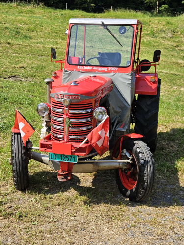 Sehr schöner Hürlimann D100L Traktor zu Verkaufe