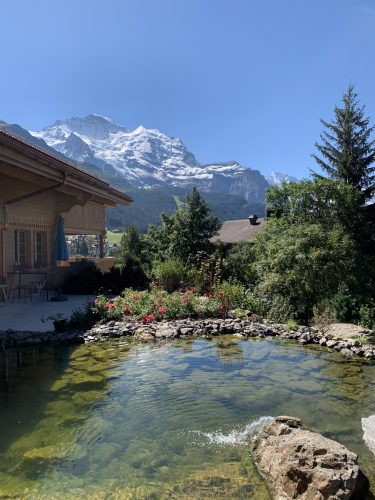 Wohnung an Top Lage in Wengen