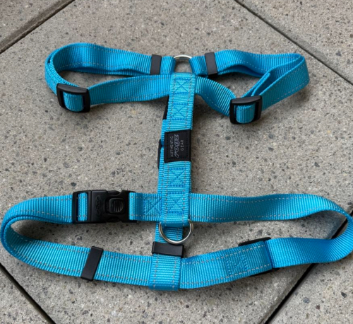 Hundegeschirr hellblau