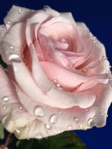 MASSAGE SCHÖN IN HORGEN 