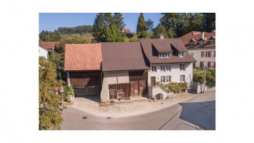 Mehrfamilienhaus mit Oekonomiehaus zum ausbauen etc. 