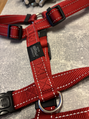 Reflektiertes neues Brustgeschirr für Hunde 