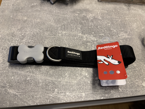 Hundehalsband RedDingo L in schwarz