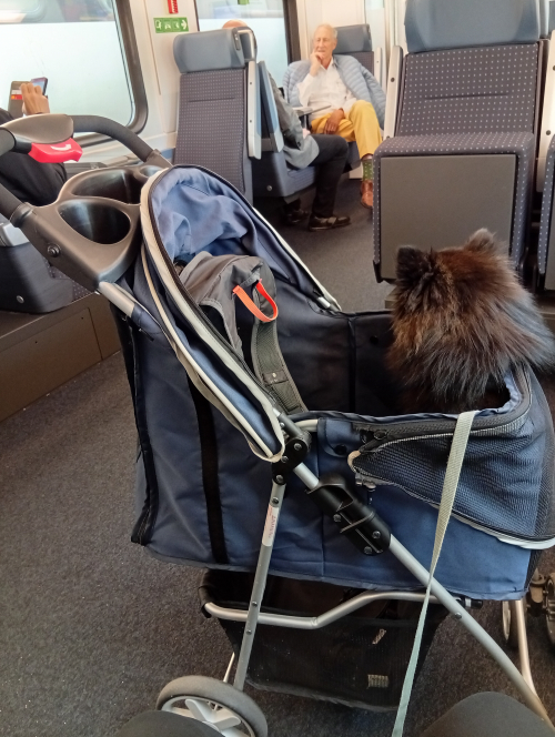 Kinderwagen für Kleine Hunde
