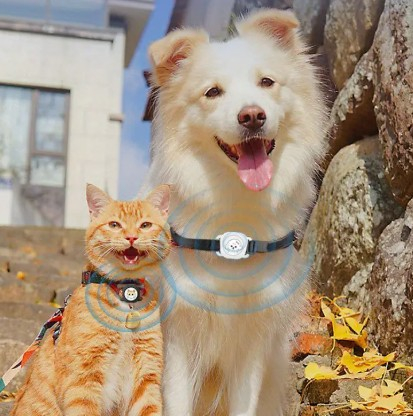 Echtzeit-Standort-Tracker für Hunde + Katzen 
