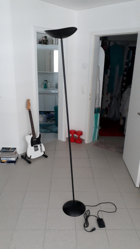 Gratis: Schwarze Stehlampe