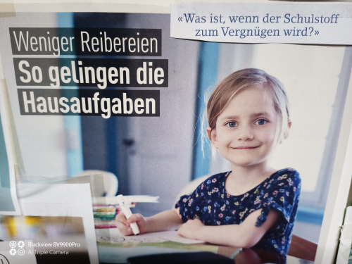 Nachhilfe inkl KI in Rafz ZH