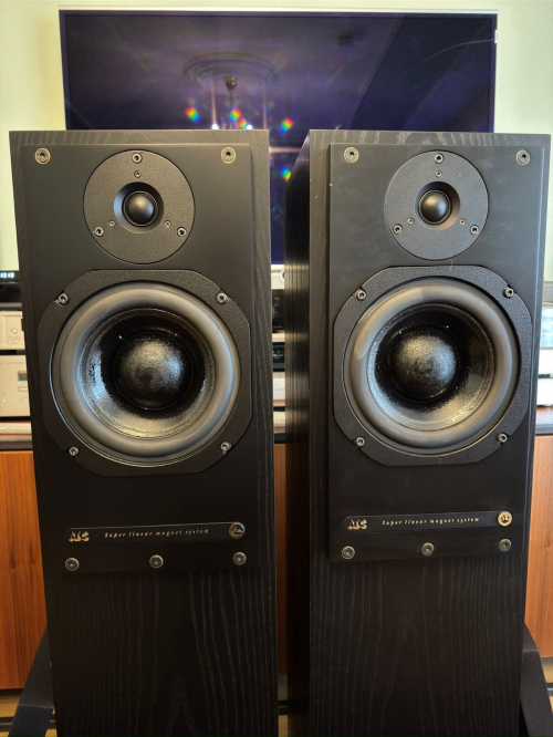 ATC SCM20ASLT Aktiver Standlautsprecher 