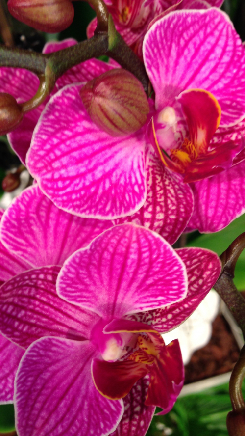 My-Time MASSAGE zum relaxen in Winterthur 