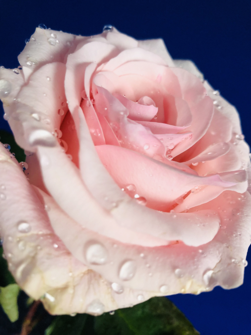 RELAX PRAXIS IN HORGEN