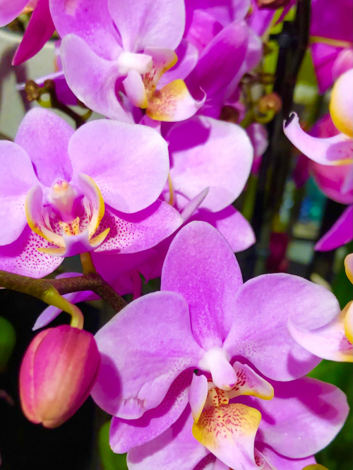 Sanfte Massagen in Winterthur 