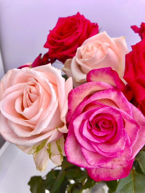 Winterthur Klassische Massage 