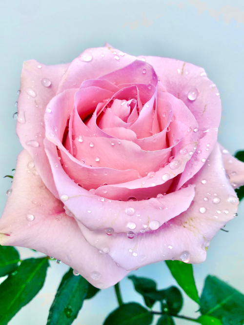 Sanfte Massage in Horgen 