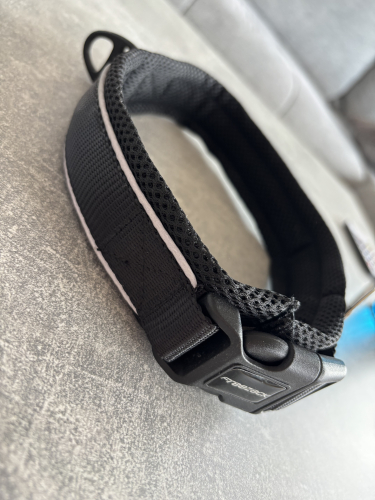 Neues Hundehalsband