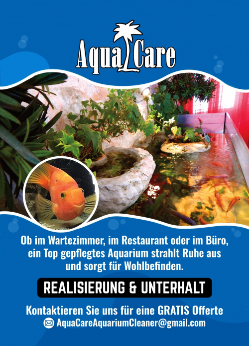 AQUA CARE / AQUARIUM REINIGUNG ZURICH
