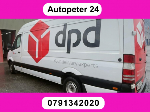 MERCEDES-BENZ Sprinter 313 CDI Extralang