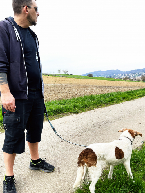 Wir bieten ein liebevolles Zuhause für Welpe (m) & 2 Kätzchen