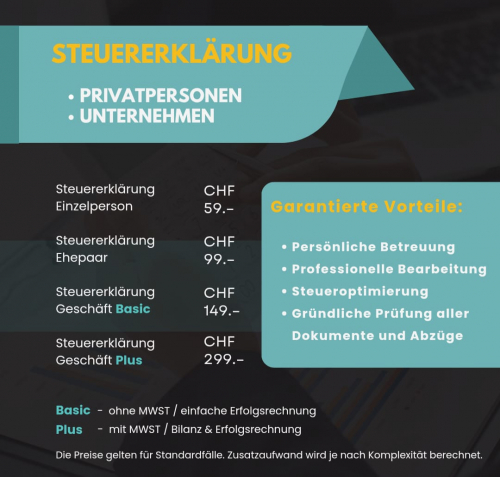 Steuererklärung professionell ausgefüllt