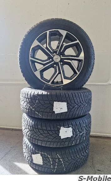 Cupra Formentor Gamaparts Winterräder 18
